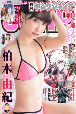 康乃馨